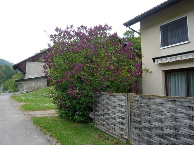 real estate - Vallorbe - Detached House 4.5 rooms