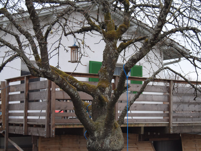 Belmont-sur-Lausanne - Villa individuelle 4.5 pi&egrave;ces