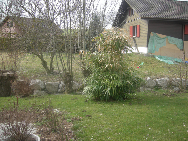 Avenches 1580 VD - Detached House 4.5 rooms - TissoT Realestate