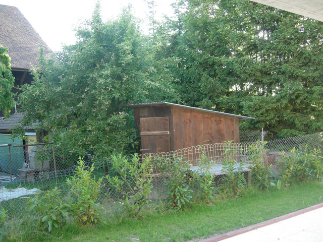 Bien immobilier - Corcelles-près-Payerne - Villa mitoyenne 5.5 pi&egrave;ces
