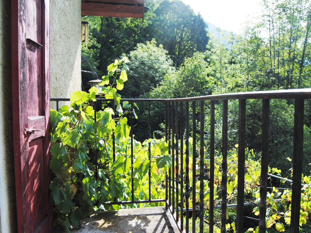 real estate - Chailly-sur-Montreux - Detached House 8 rooms
