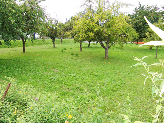 Bien immobilier - Yvonand - Villa individuelle 5.5 pi&egrave;ces