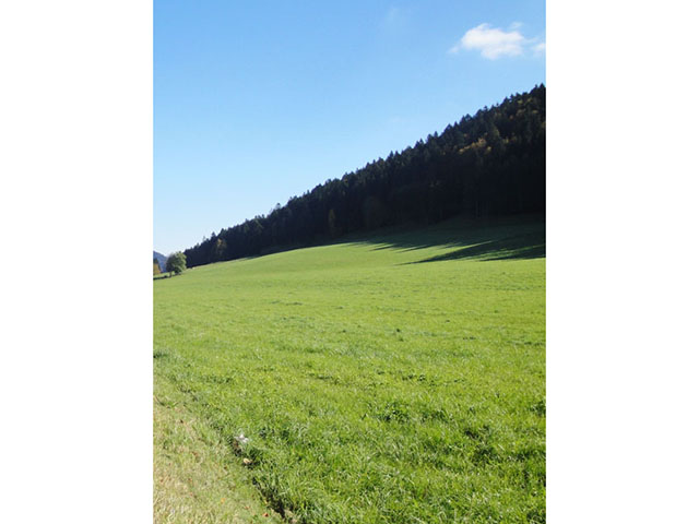 Les Bayards - Ferme 5.5 pi&egrave;ces
