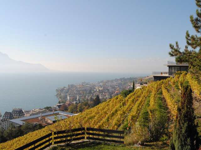 Bien immobilier - Montreux - Villa individuelle 9 pi&egrave;ces