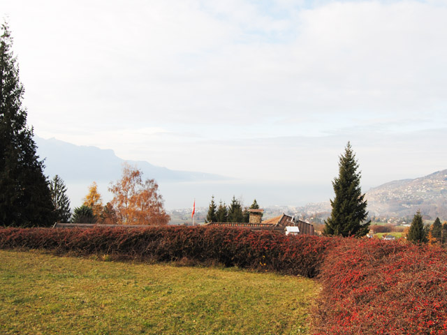 Bien immobilier - Blonay - Villa individuelle 3.5 pi&egrave;ces