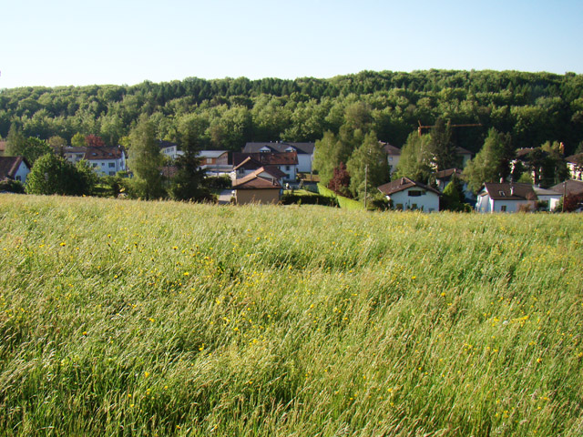 Epalinges - Mittelhaus 4.5 pi&egrave;ces