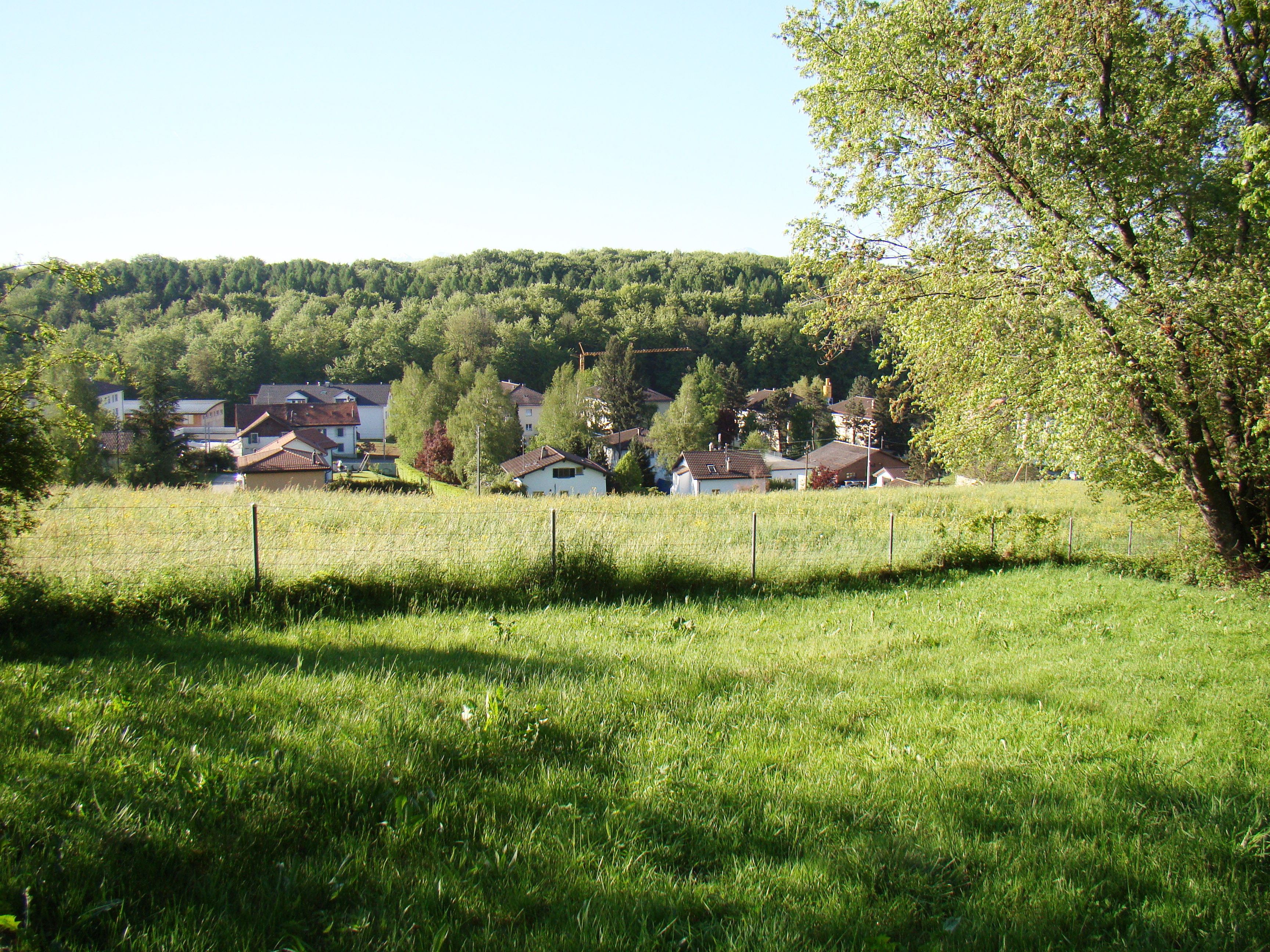 Bien immobilier - Epalinges - Villa mitoyenne 4.5 pi&egrave;ces