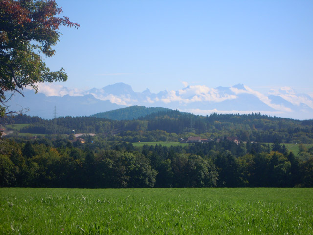 Mont-Pèlerin TissoT Immobilier : Villa individuelle 6.5 pi&egrave;ces