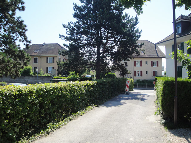 Morges TissoT Realestate : Attic 5.5 rooms