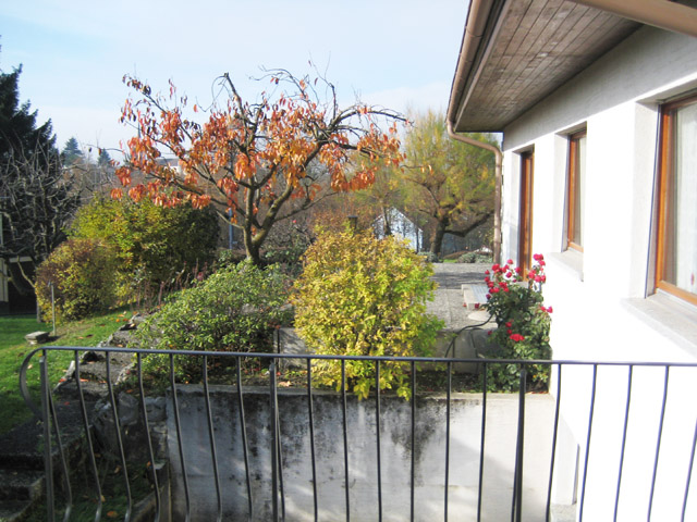 Echallens - Einfamilienhaus 7.0 pi&egrave;ces