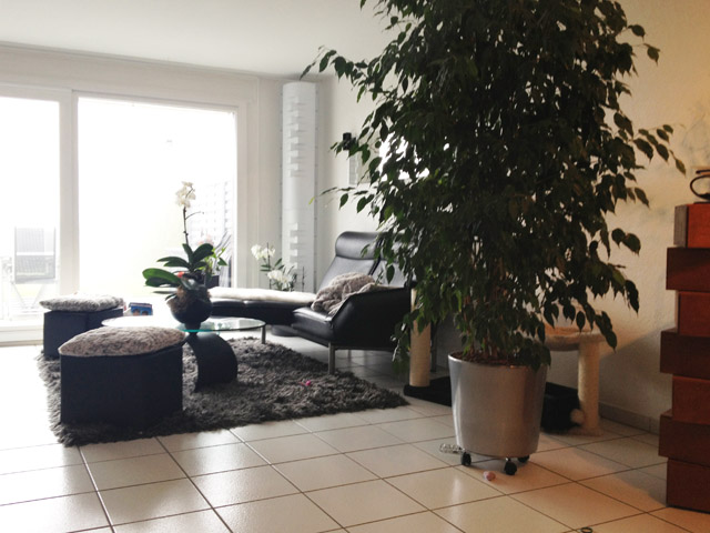 Bien immobilier - Grandvaux - Villa contiguë 4.5 pi&egrave;ces