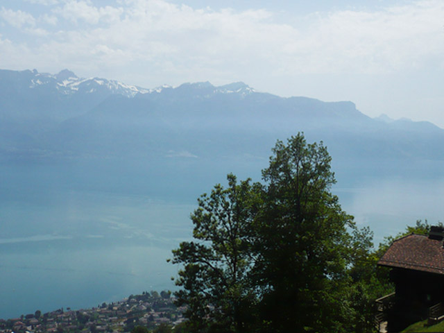Bien immobilier - Chardonne - Villa individuelle 7 pi&egrave;ces