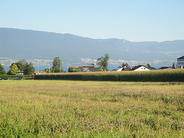 Estavayer-le-Lac - Reihen-Mittelhaus 4.5 pi&egrave;ces