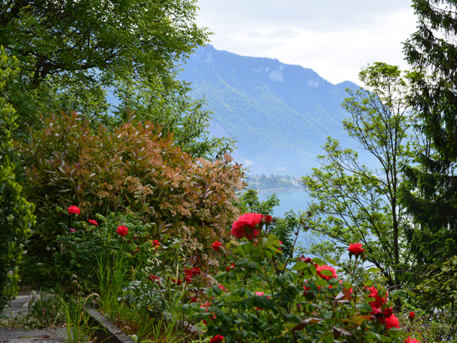 Montreux - Einfamilienhaus 6.0 pi&egrave;ces