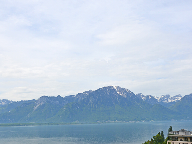 Bien immobilier - Montreux - Villa individuelle 6.0 pi&egrave;ces