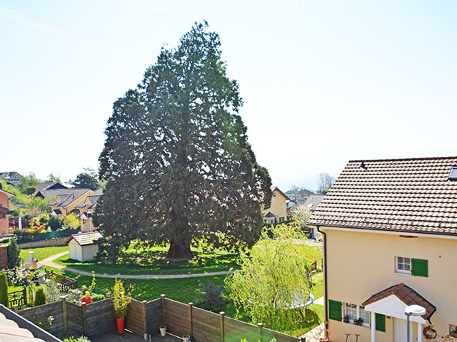 Immobiliare - Mont-sur-Rolle - Villa contigua 5.5 locali