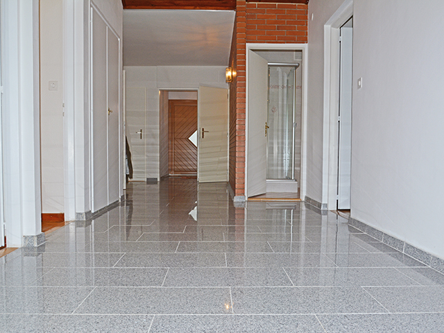 Mies 1295 VD - Villa individuelle 5.0 rooms - TissoT Realestate