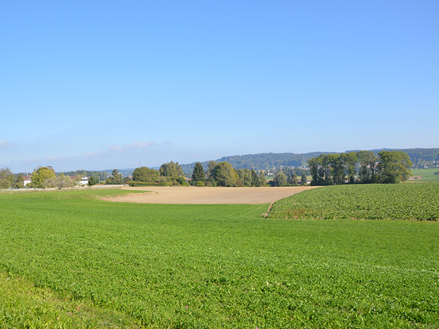 Morrens - Villa individuelle 7.5 pi&egrave;ces
