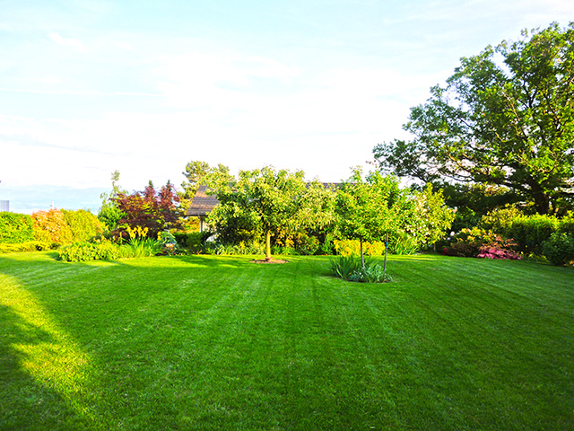 Bien immobilier - Genolier - Villa individuelle 5.5 pi&egrave;ces