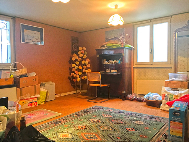 real estate - Cologny - Detached House 9.5 rooms