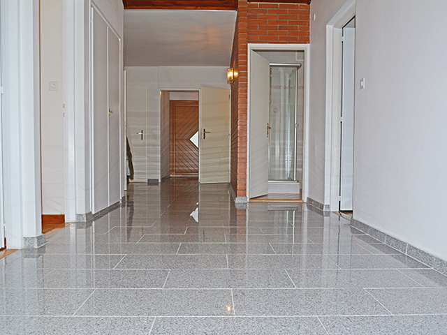Mies 1295 VD - Villa individuelle 8.5 pi&egrave;ces - TissoT Immobilier