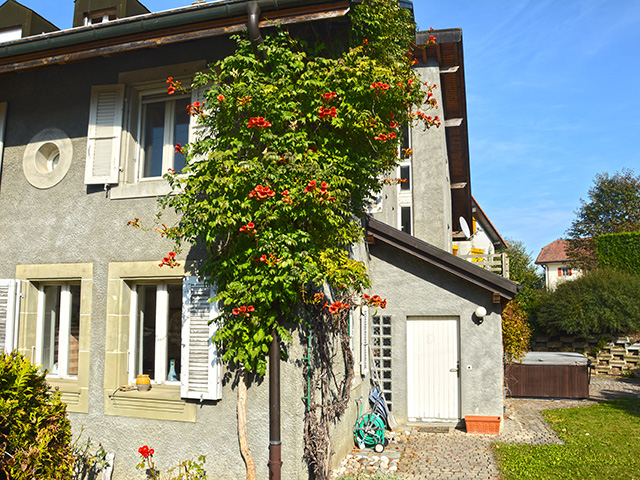 Bien immobilier - Penthéréaz - Maison villageoise 6.5 pièces