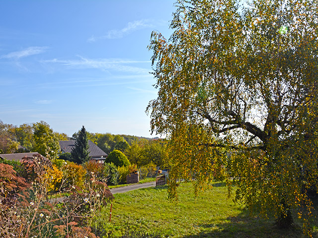 Genolier 1272 VD - Villa individuelle 6.5 pi&egrave;ces - TissoT Immobilier