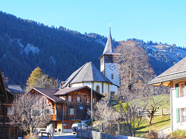 Lauenen 3782 BE - Chalet 12 rooms - TissoT Realestate