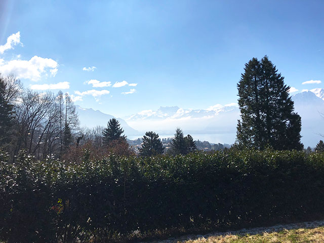 Bien immobilier - Blonay - Villa jumelle 5.5 pi&egrave;ces