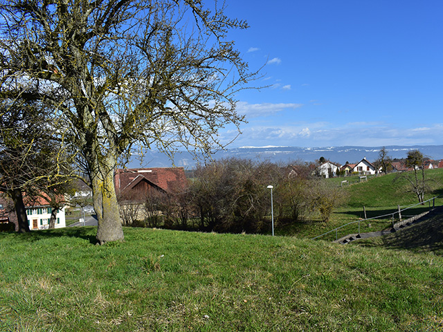 région - Peney-le-Jorat - Villa mitoyenne - TissoT Immobilier