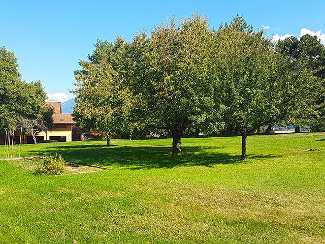 Bien immobilier - Savièse - Villa individuelle 7.0 pi&egrave;ces