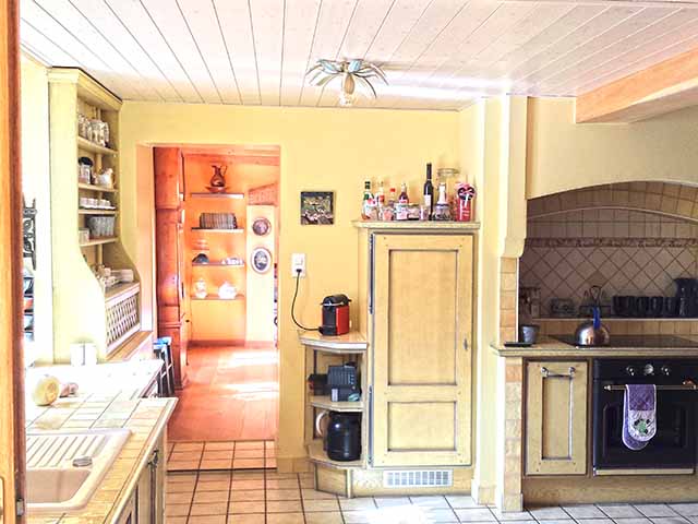 L Isle TissoT Realestate : House in village 10.0 rooms