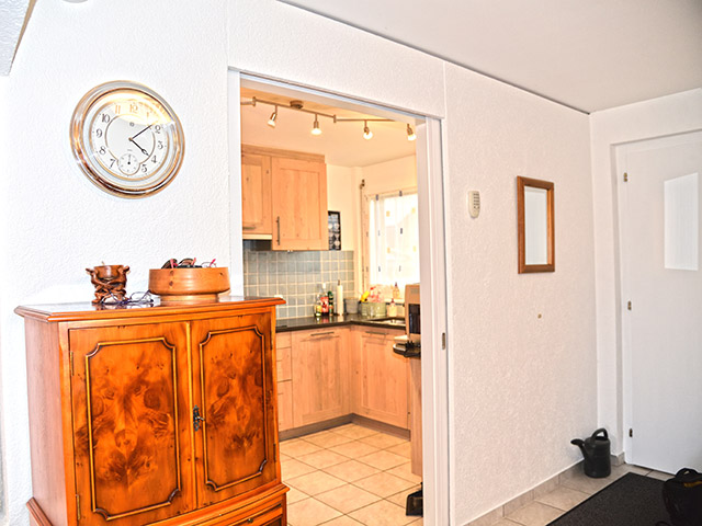 Founex TissoT Realestate : Twin house 6.5 rooms