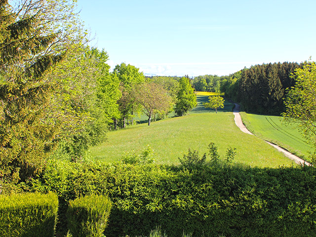 Morrens VD TissoT Realestate : Detached House 6.5 rooms