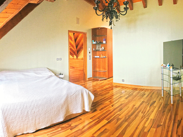 Bien immobilier - Féchy  - Villa individuelle 11.0 pi&egrave;ces