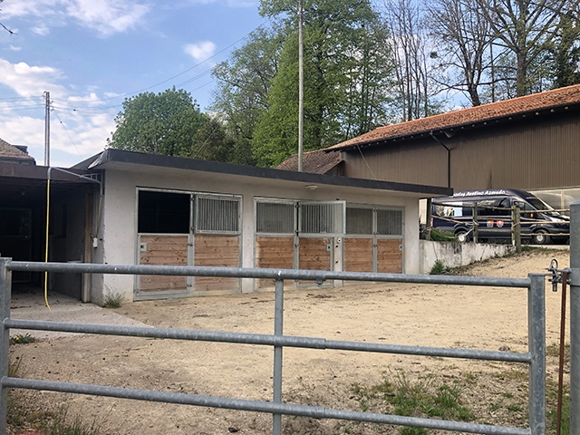 Bien immobilier - Le Mont-sur-Lausanne - Maison de maître 12.0 pi&egrave;ces
