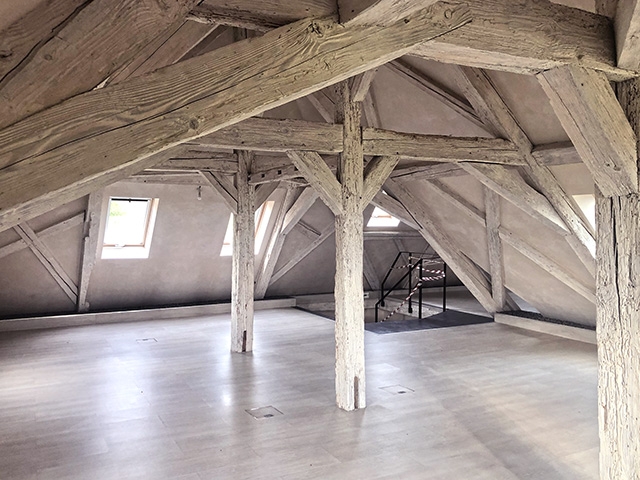 Le Mont-sur-Lausanne TissoT Immobilier : Maison de maître 12.0 pi&egrave;ces