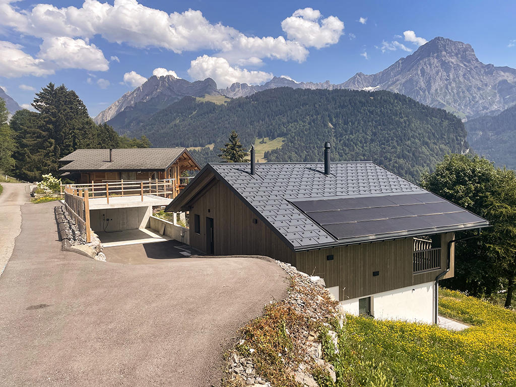 Bien immobilier - Gryon - Chalet 5.5 pi&egrave;ces