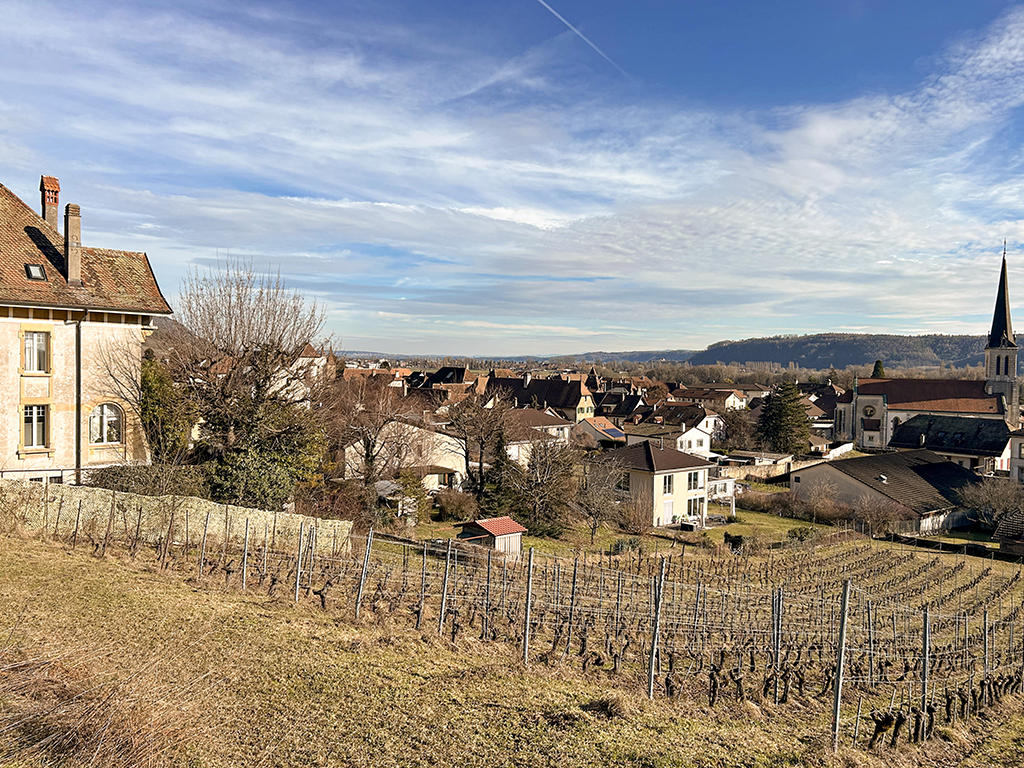 Cressier NE - Villa jumelle 6.5 pi&egrave;ces